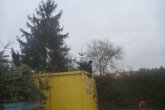 P1050903