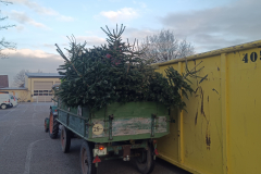 IMG_20250111_090618_734