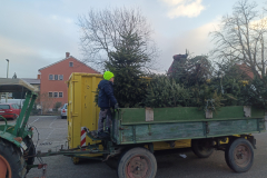 IMG_20250111_090630_613