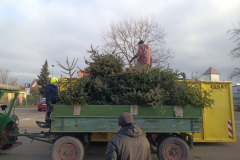 IMG_20250111_095632_701