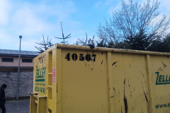 IMG_20250111_095908_142