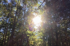 IMG-20181013-WA0025